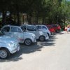 Montevago 2010 (323)